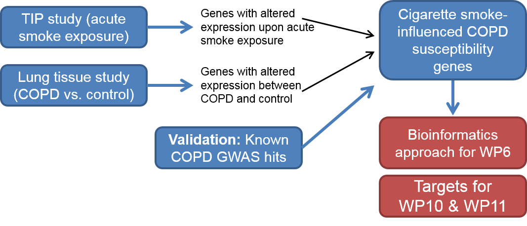 Set up of the study in work package 2