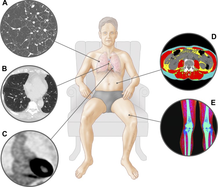 Imaging techniques